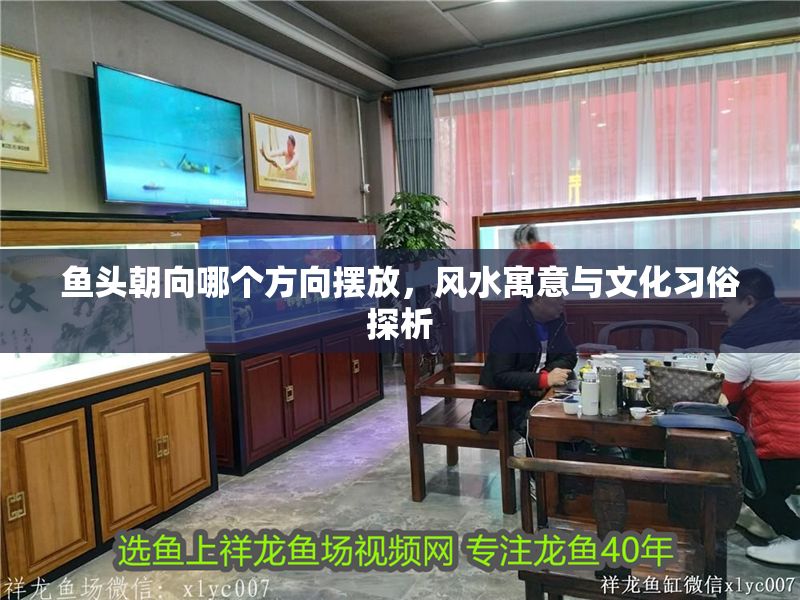 魚頭朝向哪個(gè)方向擺放，風(fēng)水寓意與文化習(xí)俗探析