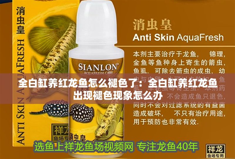 全白缸養(yǎng)紅龍魚怎么褪色了:全白缸養(yǎng)紅龍魚出現(xiàn)褪色現(xiàn)象怎么辦 龍魚百科 第2張 全白缸養(yǎng)紅龍魚怎么褪色了:全白缸養(yǎng)紅龍魚出現(xiàn)褪色現(xiàn)象怎么辦 全白缸養(yǎng)紅龍魚怎么褪色了:全白缸養(yǎng)紅龍魚出現(xiàn)褪色現(xiàn)象怎么辦 龍魚百科 第2張