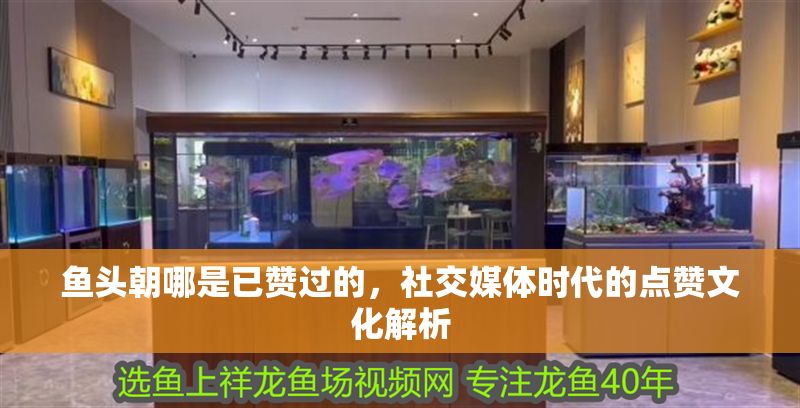 魚頭朝哪是已贊過的，社交媒體時代的點贊文化解析 魚頭朝哪是已贊過的，社交媒體時代的點贊文化解析 龍魚百科 第1張