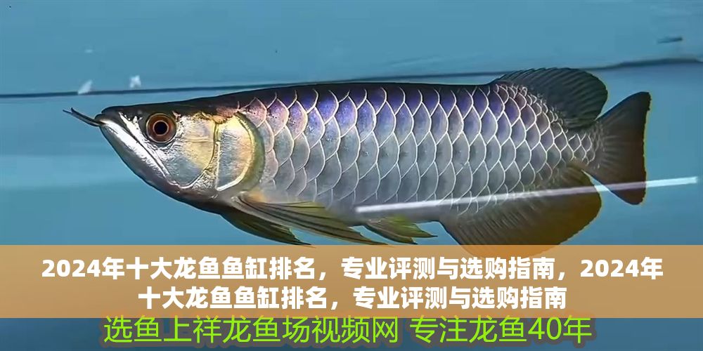 2024年十大龍魚魚缸排名，專業評測與選購指南，2024年十大龍魚魚缸排名，專業評測與選購指南 2024年十大龍魚魚缸排名，專業評測與選購指南，2024年十大龍魚魚缸排名，專業評測與選購指南 龍魚常見疾病 第1張