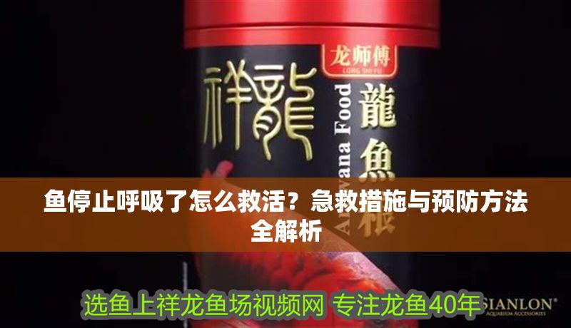 魚停止呼吸了怎么救活？急救措施與預防方法全解析