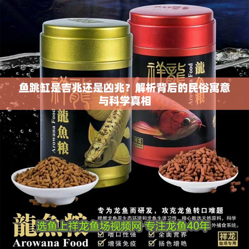 魚跳缸是吉兆還是兇兆？解析背后的民俗寓意與科學真相