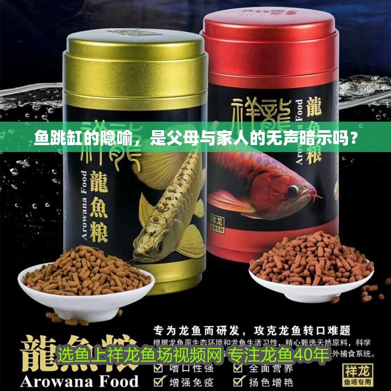魚跳缸的隱喻，是父母與家人的無聲暗示嗎？