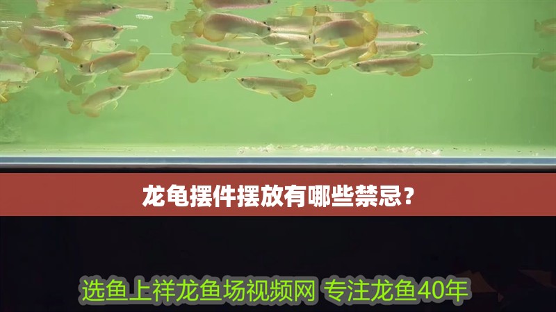龍龜擺件擺放有哪些禁忌？