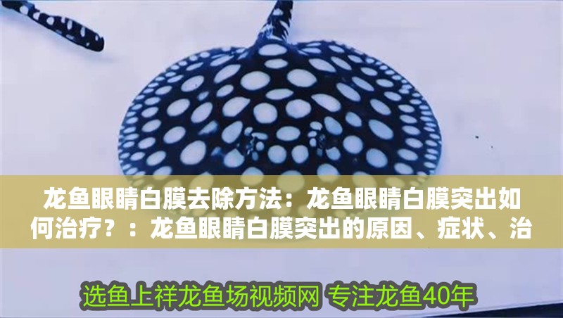 龍魚眼睛白膜去除方法：龍魚眼睛白膜突出如何治療？：龍魚眼睛白膜突出的原因、癥狀、治療方法以及預防措施 龍魚眼睛白膜去除方法：龍魚眼睛白膜突出如何治療？：龍魚眼睛白膜突出的原因、癥狀、治療方法以及預防措施 水族問答