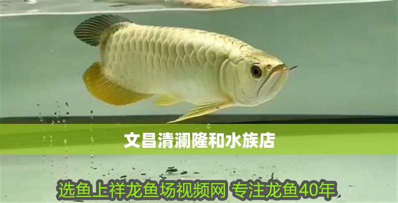 文昌清瀾隆和水族店 文昌清瀾隆和水族店 全國水族館企業名錄 第1張