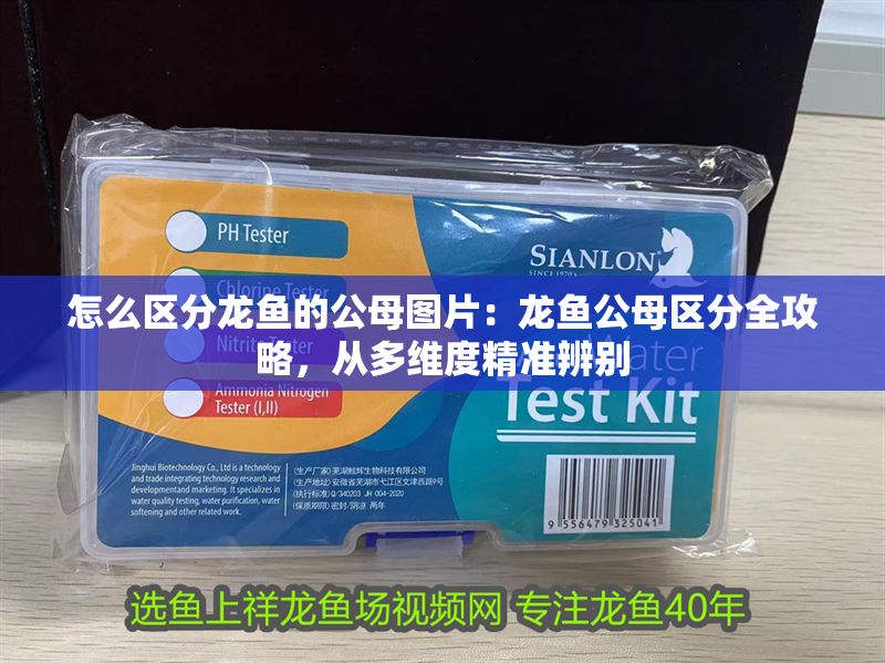 怎么區(qū)分龍魚的公母圖片：龍魚公母區(qū)分全攻略，從多維度精準(zhǔn)辨別