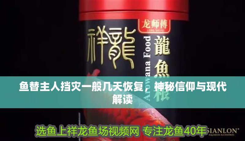 魚(yú)替主人擋災(zāi)一般幾天恢復(fù),神秘信仰與現(xiàn)代解讀 龍魚(yú)百科 第1張 魚(yú)替主人擋災(zāi)一般幾天恢復(fù),神秘信仰與現(xiàn)代解讀 魚(yú)替主人擋災(zāi)一般幾天恢復(fù),神秘信仰與現(xiàn)代解讀 龍魚(yú)百科 第1張