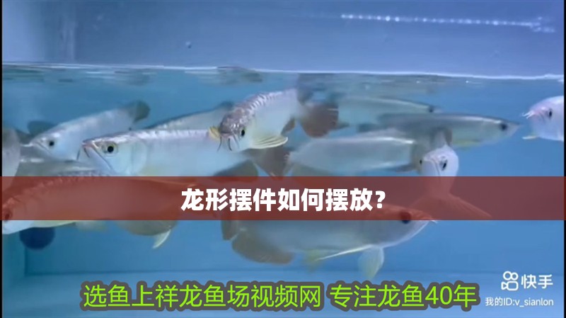 龍形擺件如何擺放？