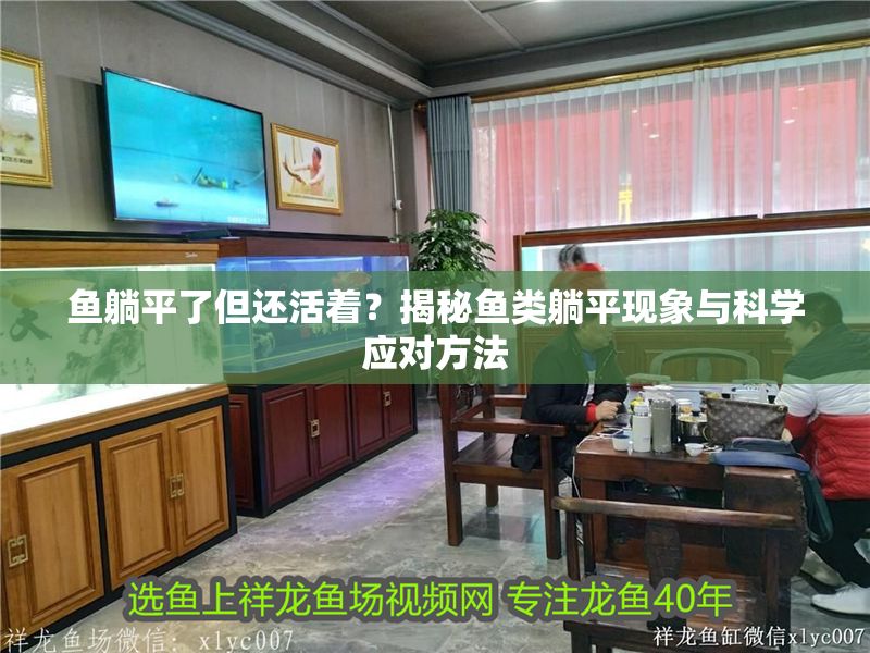 魚躺平了但還活著？揭秘魚類躺平現象與科學應對方法 魚躺平了但還活著？揭秘魚類躺平現象與科學應對方法 龍魚百科 第1張