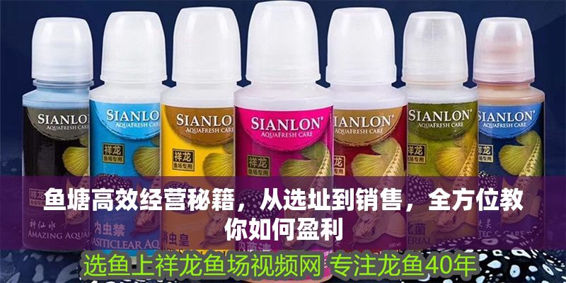 魚塘高效經(jīng)營(yíng)秘籍，從選址到銷售，全方位教你如何盈利