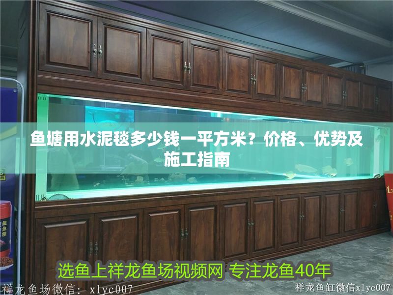 魚塘用水泥毯多少錢一平方米？價格、優勢及施工指南