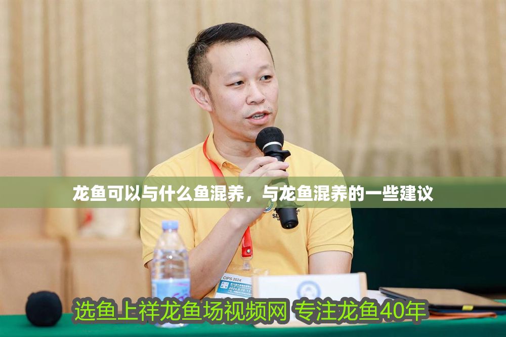 龍魚可以與什么魚混養，與龍魚混養的一些建議