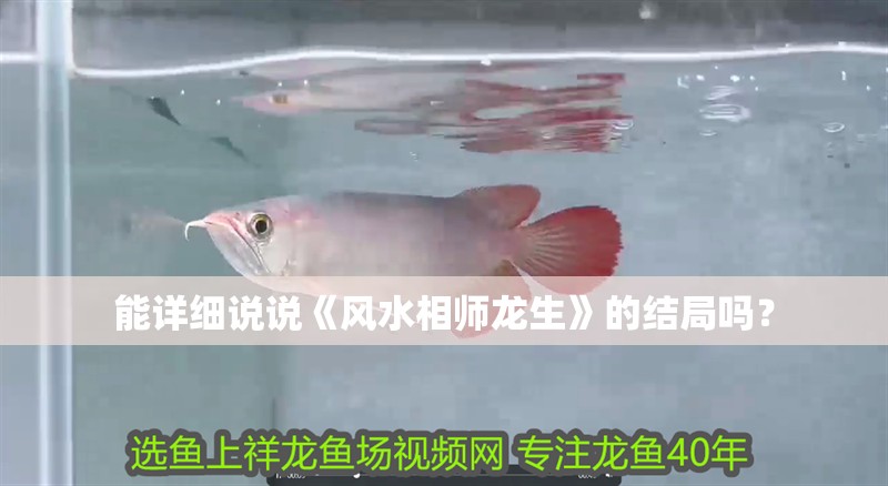 能詳細說說《風水相師龍生》的結局嗎？