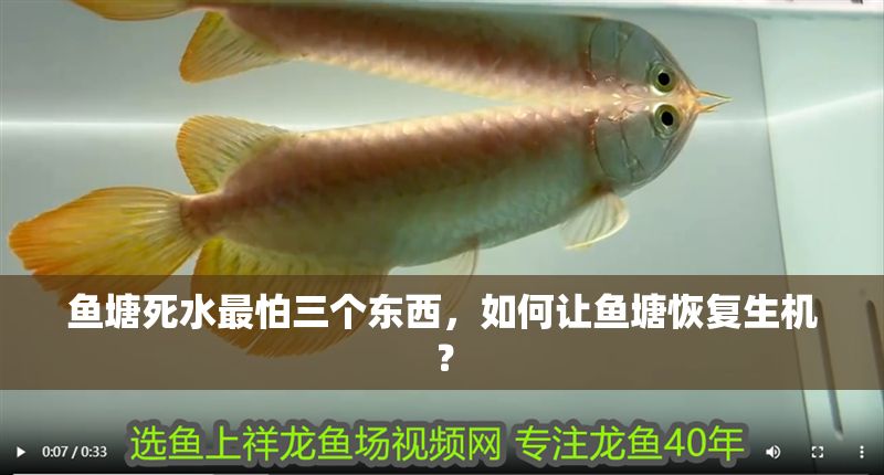 魚塘死水最怕三個(gè)東西，如何讓魚塘恢復(fù)生機(jī)？