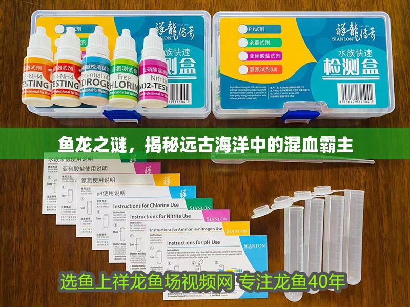 魚龍之謎，揭秘遠古海洋中的混血霸主