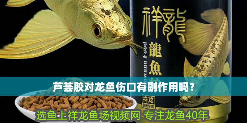 蘆薈膠對龍魚傷口有副作用嗎？