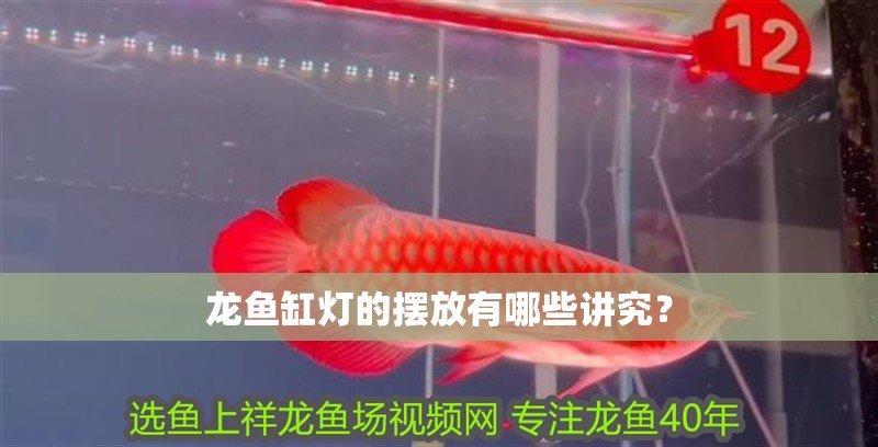 龍魚缸燈的擺放有哪些講究？ 龍魚缸燈的擺放有哪些講究？ 龍魚百科