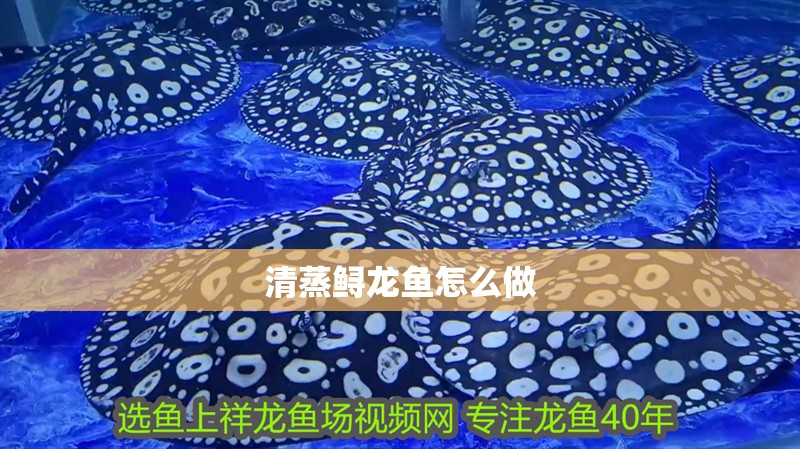 清蒸鱘龍魚怎么做