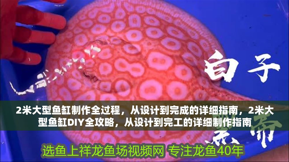 2米大型魚缸制作全過程，從設(shè)計(jì)到完成的詳細(xì)指南，2米大型魚缸DIY全攻略，從設(shè)計(jì)到完工的詳細(xì)制作指南