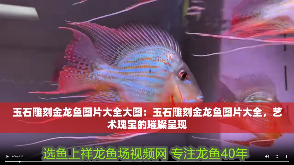 玉石雕刻金龍魚圖片大全大圖：玉石雕刻金龍魚圖片大全，藝術(shù)瑰寶的璀璨呈現(xiàn)