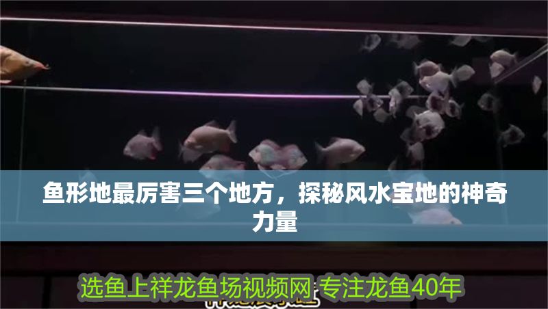 魚形地最厲害三個地方，探秘風水寶地的神奇力量