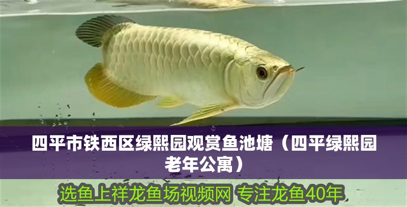 <strong><mark>四平</mark></strong>市鐵西區(qū)綠熙園觀賞魚池塘（<strong><mark>四平</mark></strong>綠熙園老年公寓）