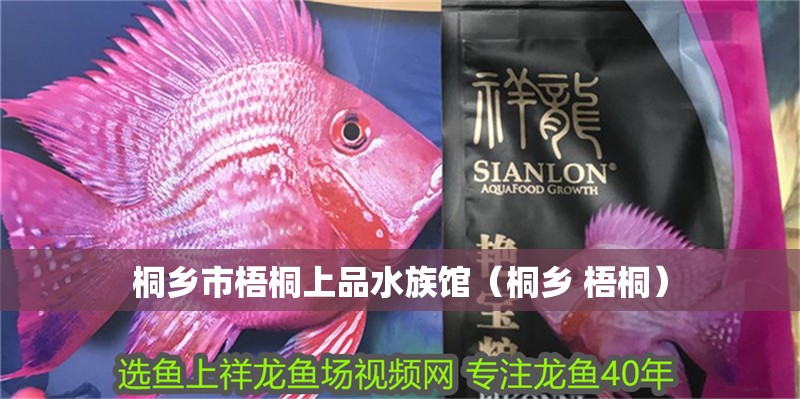 桐鄉(xiāng)市梧桐上品水族館（桐鄉(xiāng) 梧桐）