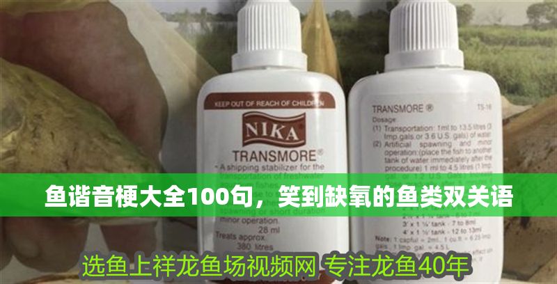 魚諧音梗大全100句，笑到缺氧的魚類雙關(guān)語 魚諧音梗大全100句，笑到缺氧的魚類雙關(guān)語 龍魚百科 第2張