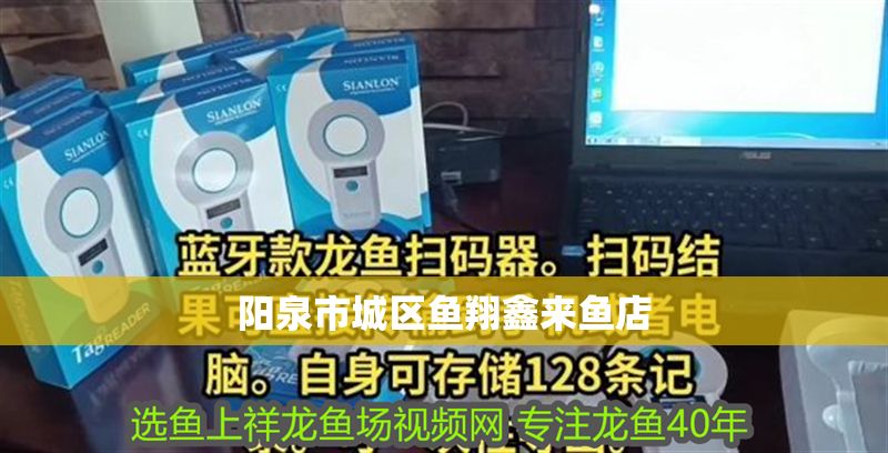 陽泉市城區(qū)魚翔鑫來魚店