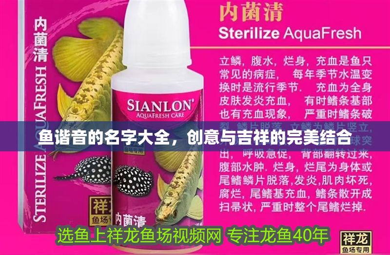 魚諧音的名字大全，創意與吉祥的完美結合 魚諧音的名字大全，創意與吉祥的完美結合 龍魚百科 第1張