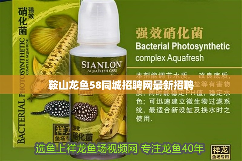 鞍山龍魚58同城招聘網最新招聘