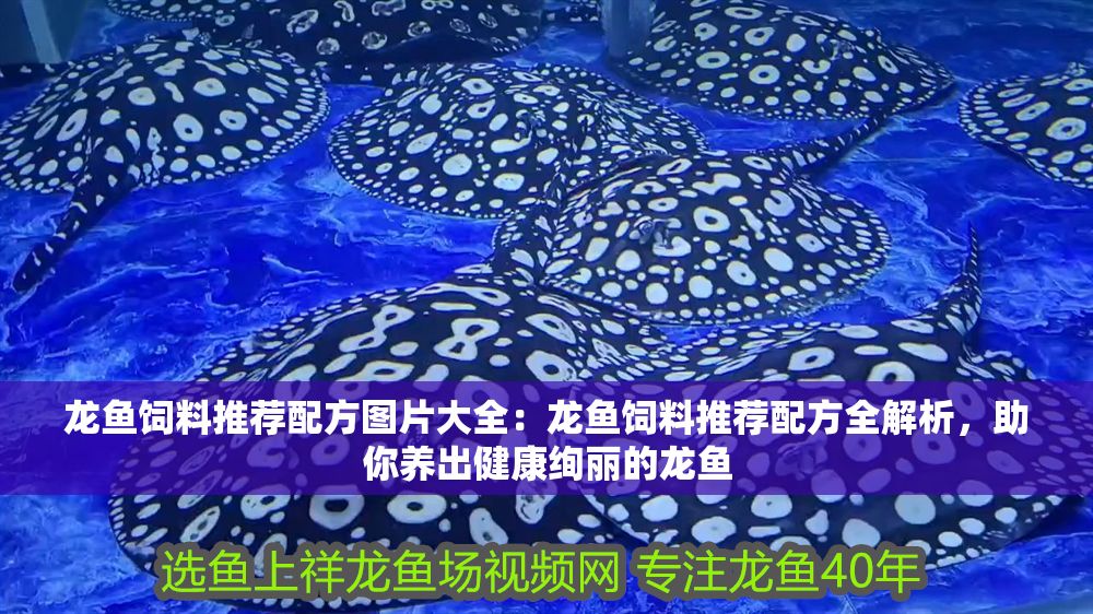 龍魚飼料推薦配方圖片大全：龍魚飼料推薦配方全解析，助你養出健康絢麗的龍魚