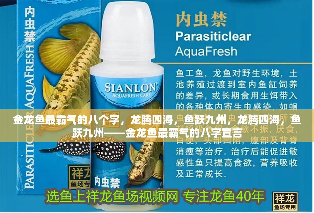 金龍魚(yú)最霸氣的八個(gè)字，龍騰四海，魚(yú)躍九州，龍騰四海，魚(yú)躍九州——金龍魚(yú)最霸氣的八字宣言