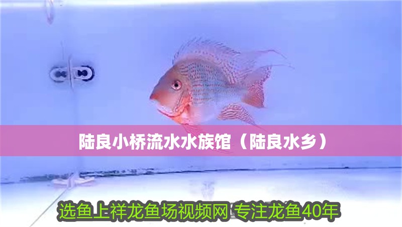 陸良小橋流水水族館（陸良水鄉(xiāng)）