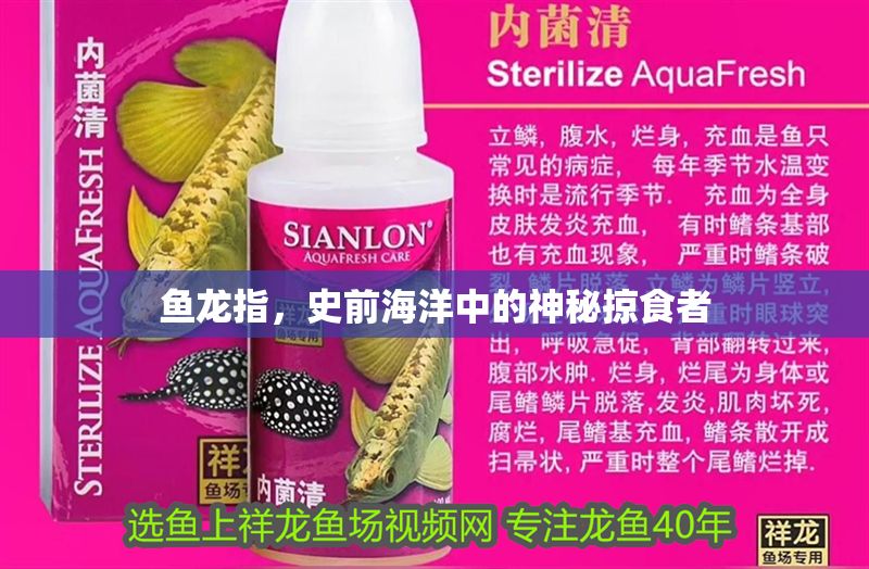 魚龍指，史前海洋中的神秘掠食者