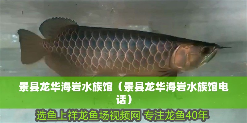 景縣龍華海巖水族館（景縣龍華海巖水族館電話）