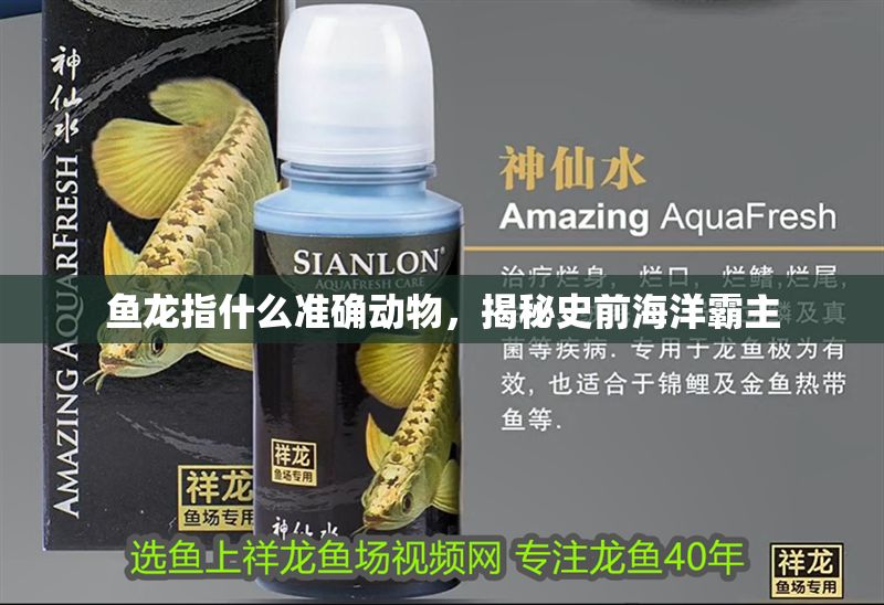 魚龍指什么準確動物，揭秘史前海洋霸主 魚龍指什么準確動物，揭秘史前海洋霸主 龍魚百科 第1張