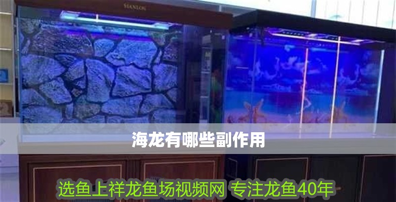 魚缸用增氧泵價格是多少:魚缸增氧機-xtrac增氧機-xtrac增氧機 海龍有哪些副作用 龍魚百科 海龍有哪些副作用 海龍有哪些副作用 龍魚百科