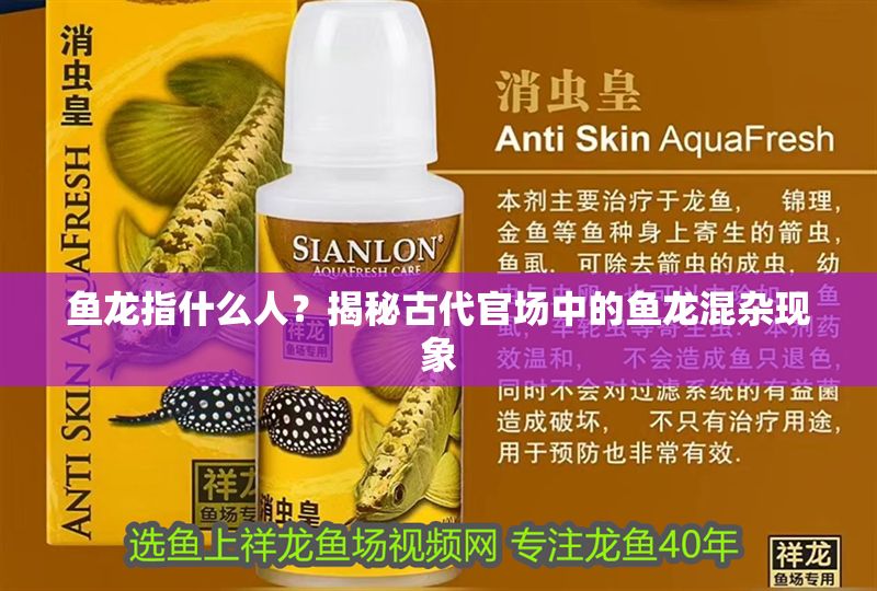 魚龍指什么人？揭秘古代官場中的魚龍混雜現象