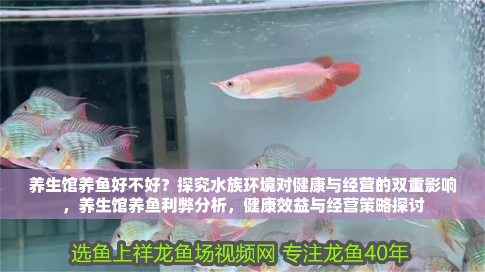 養(yǎng)生館養(yǎng)魚好不好？探究水族環(huán)境對健康與經(jīng)營的雙重影響，養(yǎng)生館養(yǎng)魚利弊分析，健康效益與經(jīng)營策略探討