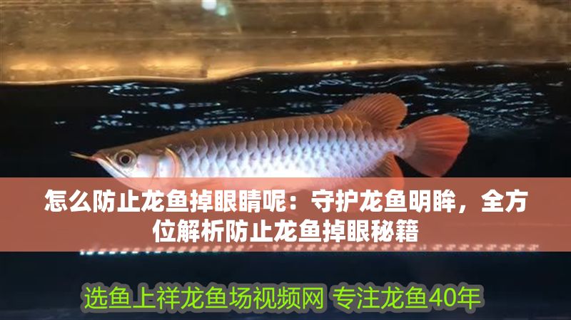 怎么防止龍魚掉眼睛呢：守護龍魚明眸，全方位解析防止龍魚掉眼秘籍