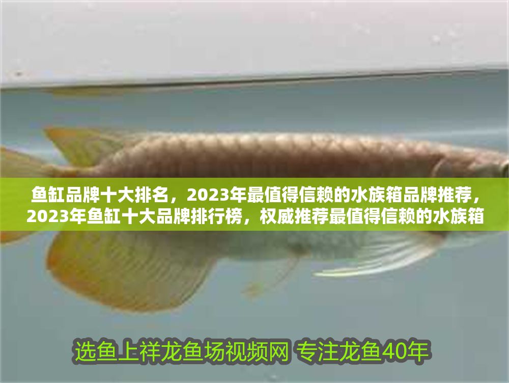 魚缸品牌十大排名，2023年最值得信賴的水族箱品牌推薦，2023年魚缸十大品牌排行榜，權威推薦最值得信賴的水族箱