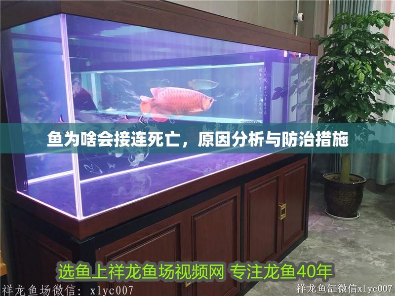 魚為啥會接連死亡，原因分析與防治措施 魚為啥會接連死亡，原因分析與防治措施 龍魚百科 第1張