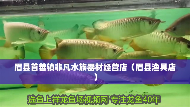 眉縣首善鎮(zhèn)非凡水族器材經(jīng)營店（眉縣漁具店）