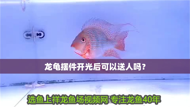 龍龜擺件開光后可以送人嗎？ 龍龜擺件開光后可以送人嗎？ 龍魚百科