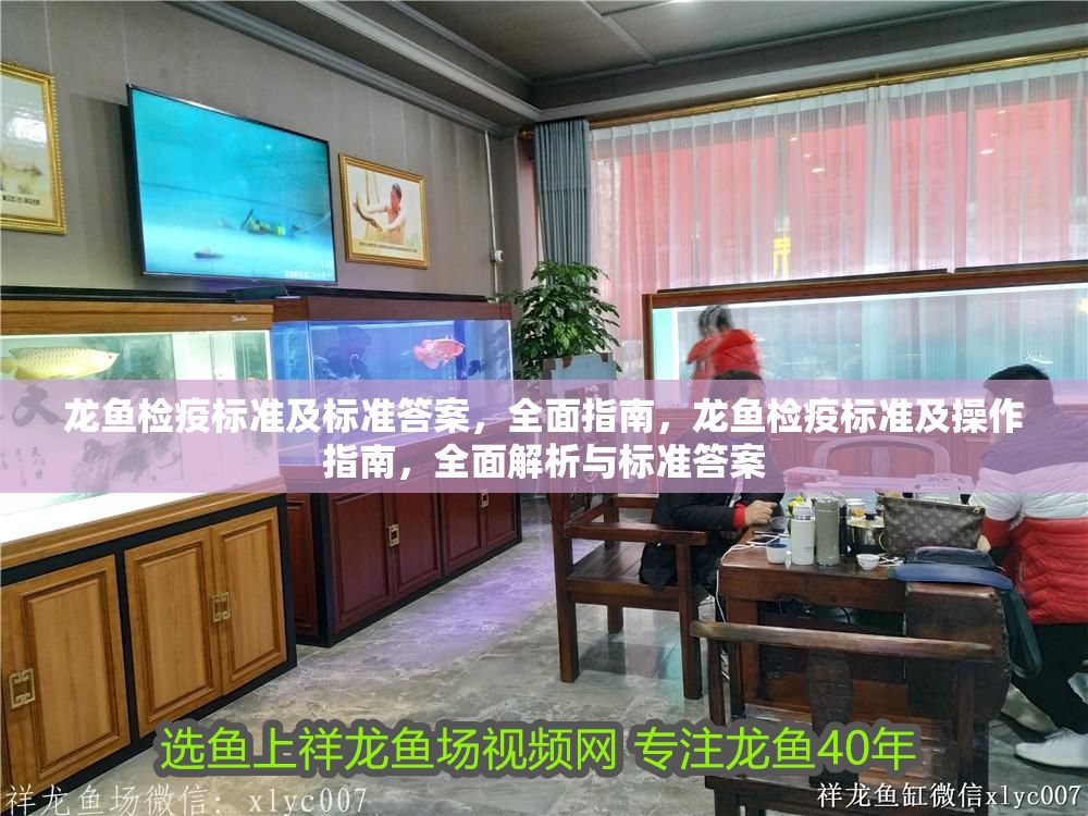 龍魚檢疫標準及標準答案，全面指南，龍魚檢疫標準及操作指南，全面解析與標準答案