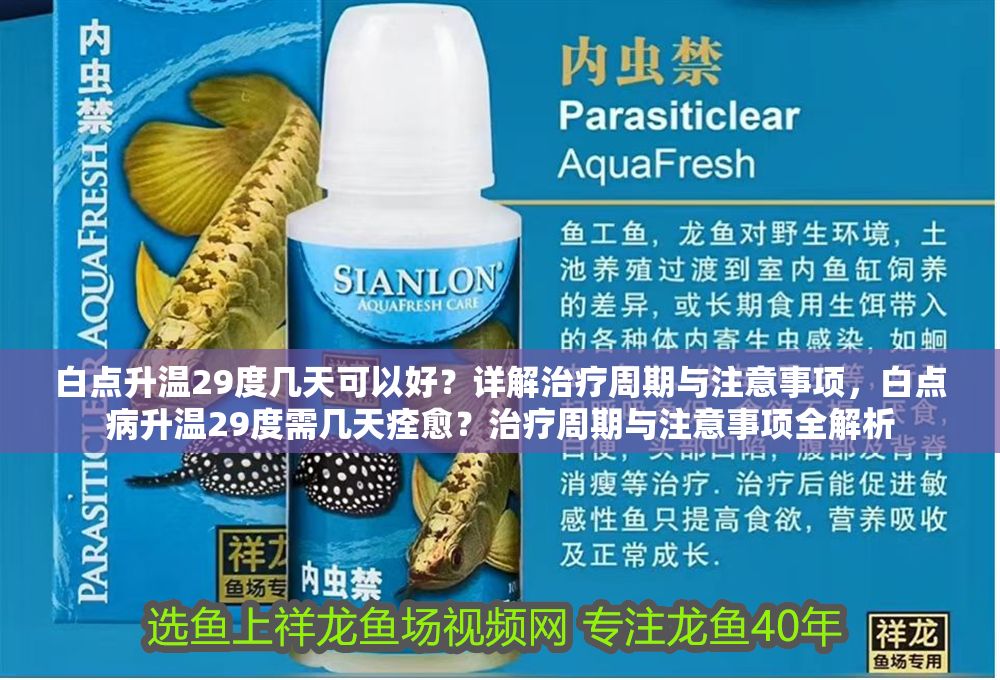 白點升溫29度幾天可以好？詳解治療周期與注意事項，白點病升溫29度需幾天痊愈？治療周期與注意事項全解析 白點升溫29度幾天可以好？詳解治療周期與注意事項，白點病升溫29度需幾天痊愈？治療周期與注意事項全解析 龍魚常見疾病 第2張