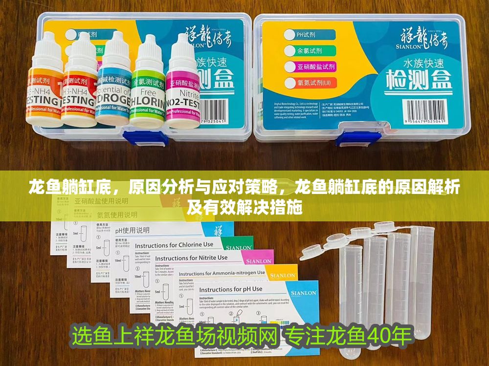 龍魚躺缸底，原因分析與應對策略，龍魚躺缸底的原因解析及有效解決措施