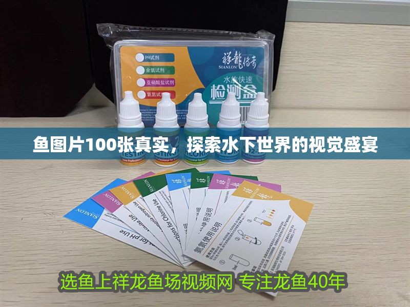 魚(yú)圖片100張真實(shí)，探索水下世界的視覺(jué)盛宴